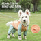 Dog Apparel