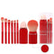 Makeup Brushes & Tools