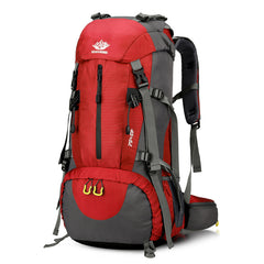Collection image for: Backpacks