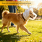 Size S White Mesh Net Hood for Dogs
